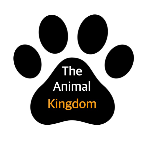 _animal_kingdom
